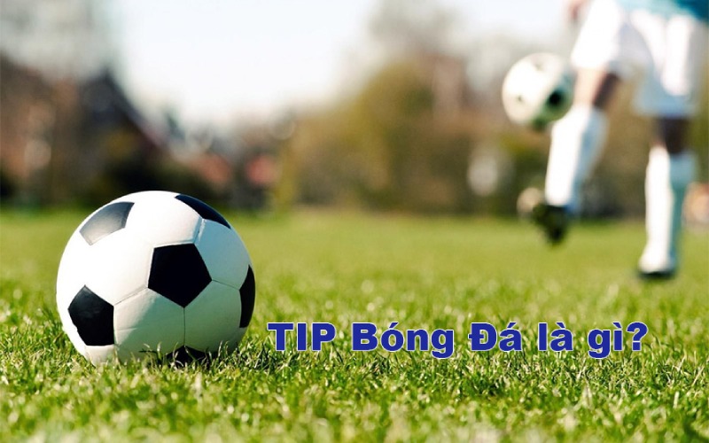 Tìm hiểu tổng quan về tip bóng đá