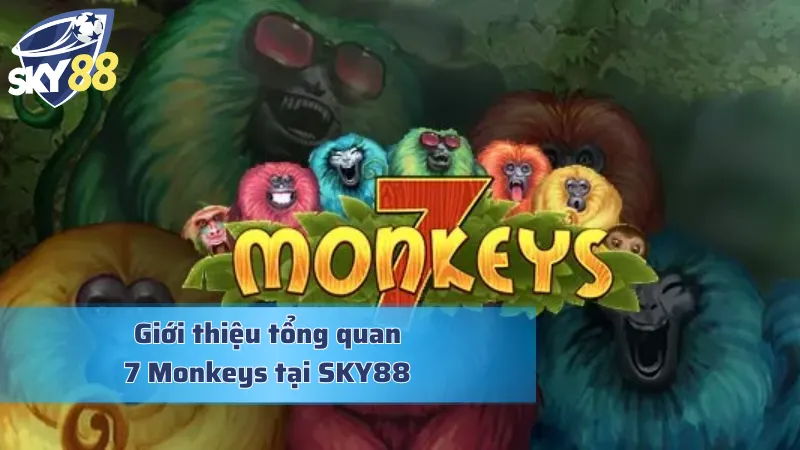 Giới thiệu tổng quan về 7 Monkeys