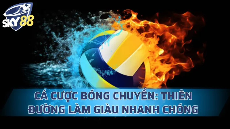 Cá Cược Bóng Chuyền