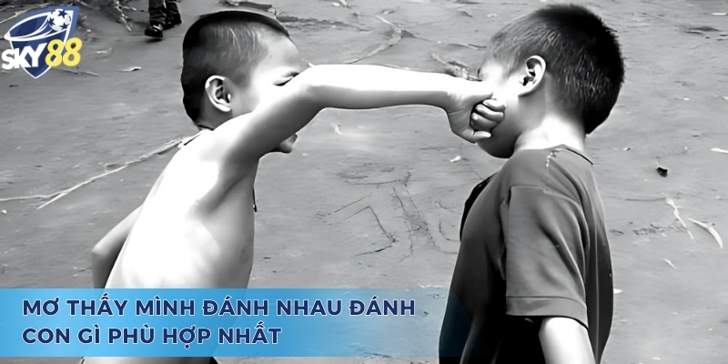 Giải đáp suy nghĩ mơ thấy mình đánh nhau đánh con gì