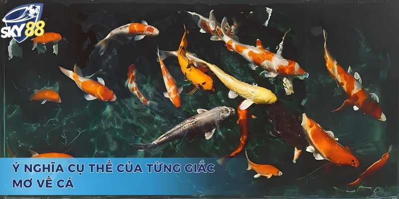 Mơ thấy nhiều cá đánh con gì? - Chi tiết về điềm báo